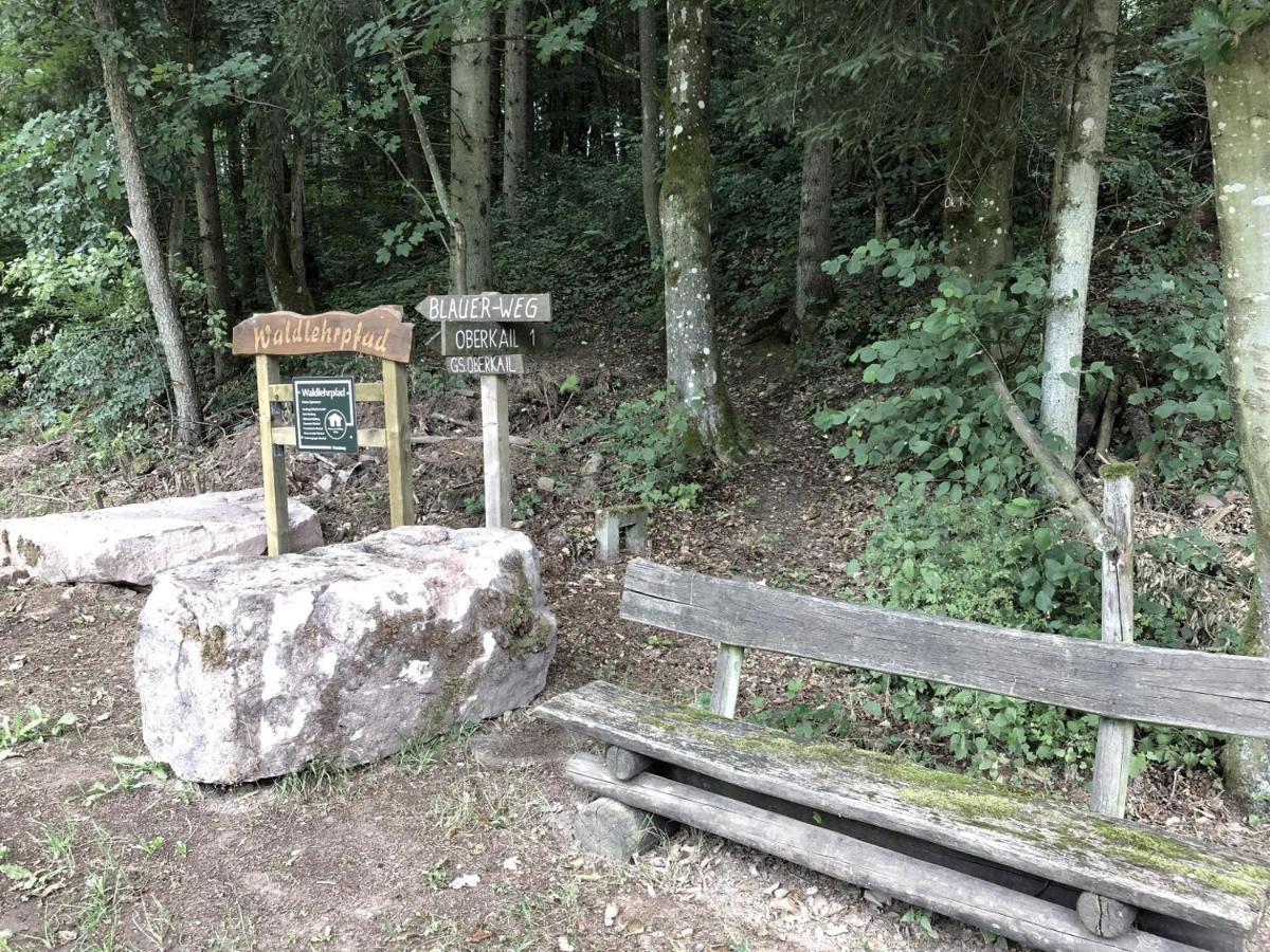 Eifel Ferienhaus Anne Villa Oberkail Bagian luar foto